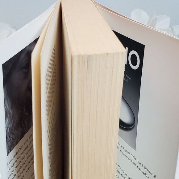 OSHO El peligro de la Verdad Softcover GUC - Picture 4 of 6